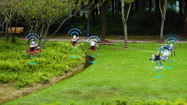 5.gif