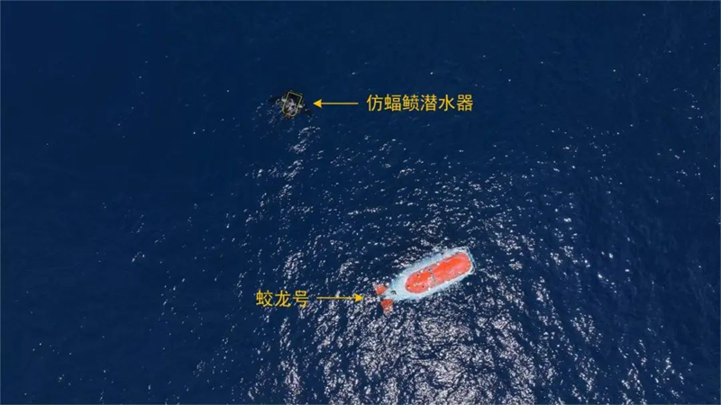 图片9.png